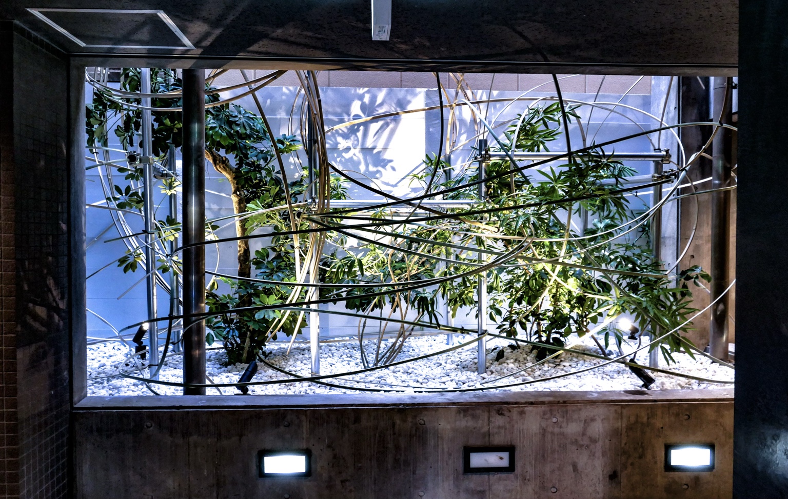 Plant People